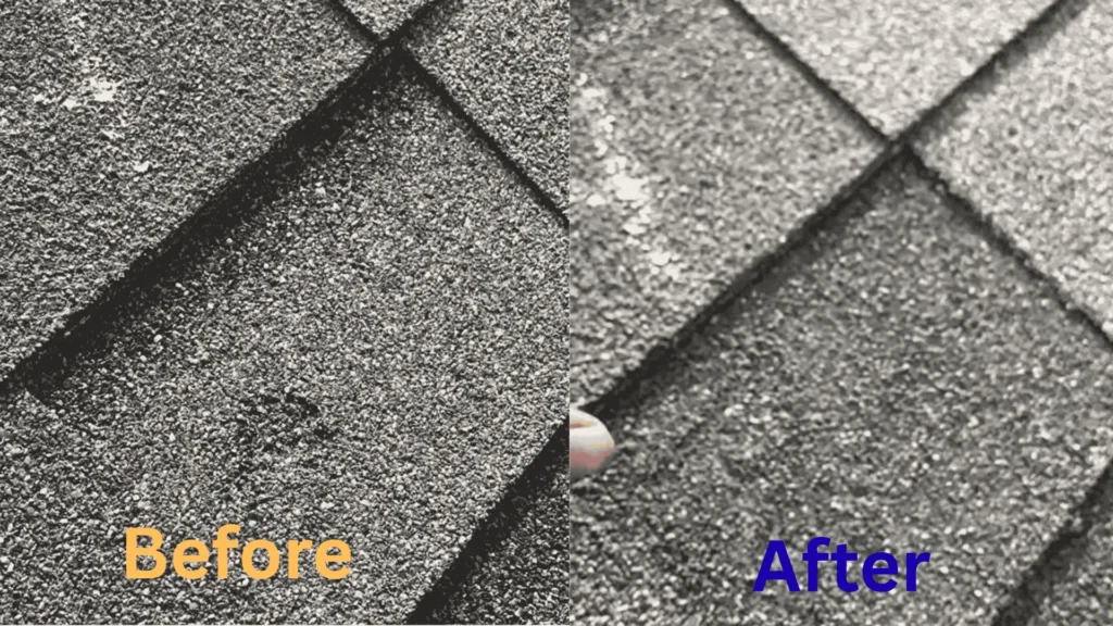 Roof restoration