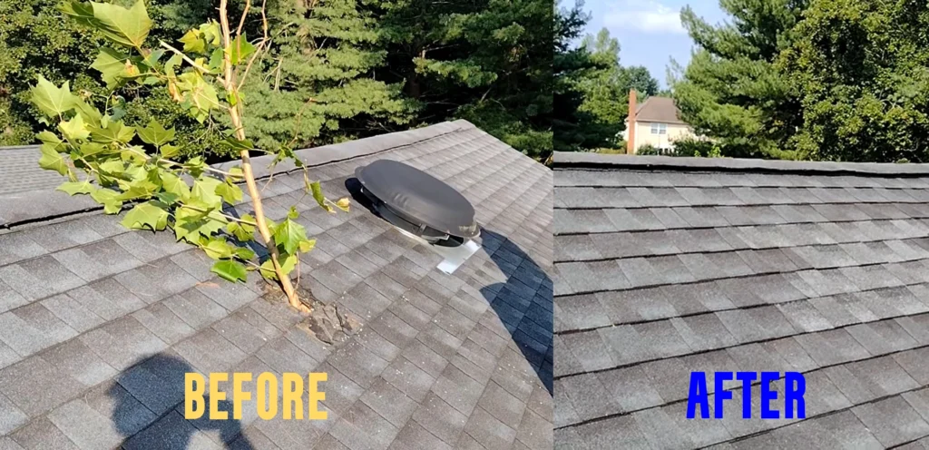 Storm damaged roof repair